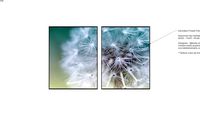 Quadro Decorativo Fineart - Dupla Dente-de-Leão - Graça