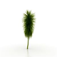 Plant 3D Model