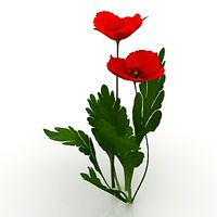 Flower 3D Model
