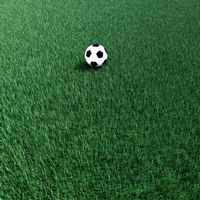 Grass 3D Model