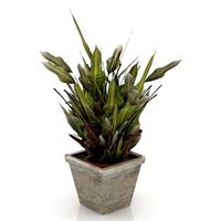 Plant 3D Model