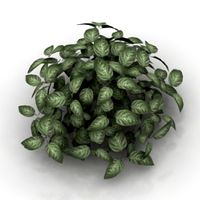 Plant 3D Model