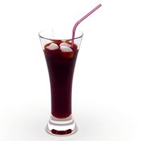 Glass 3D Model