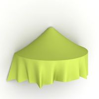 Canopy 3D Model