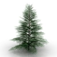 Tree 3D Model