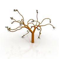 Tree 3D Model
