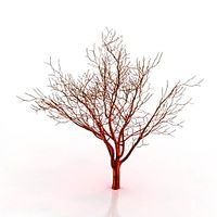 Tree 3D Model