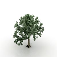 Tree 3D Model