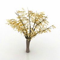 Tree 3D Model