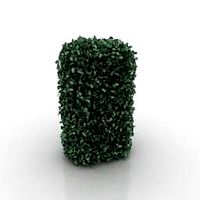 Bush 3D Model