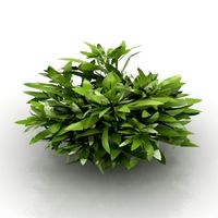 Plant 3D Model
