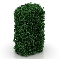 Bush 3D Model