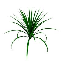 Plant 3D Model