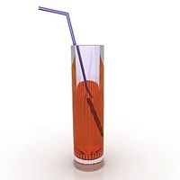 Glass 3D Model