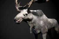 Horror Moose