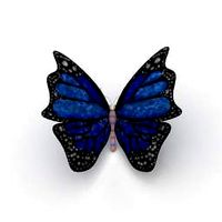 Butterfly 3D Model