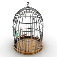Cage 3D Model