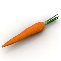 Carrot 3D Model