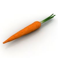 Carrot 3D Model