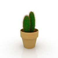Plant 3D Model
