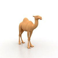Camel 3D Model
