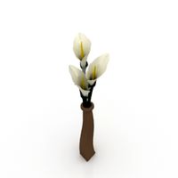 Orchids 3D Model