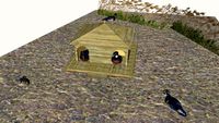 SY Duck House