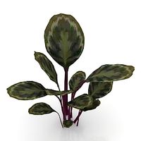 Flower 3D Model