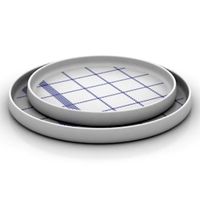 Plates 3D Model