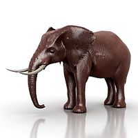 Elephant 3D Model