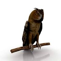 Bird 3D Model