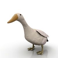 Duck 3D Model