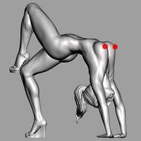 Arch gymnast | 3D