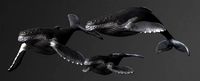Humpback Whale Statue | 3D