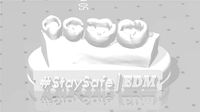 EDM Dental Practice Exclusive Model Lower Class 1 and 2 | 3D