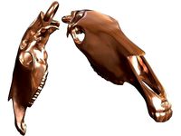 Cranium Charm Horse Bronze | 3D