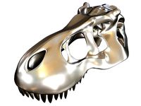 Cranium Charm Tyrannosaurus silver | 3D