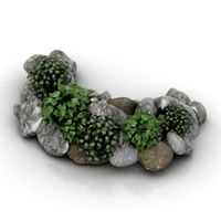 Plant 3D Model