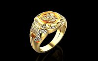 Ring 876 011 | 3D