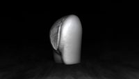 Anatomy of the Vagina | 3D