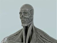 Armin Colossal Titan | 3D