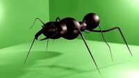 3d Ant