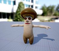 Mushroom 1