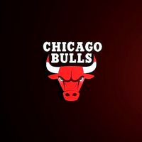 Chicago Bulls 3D Logo