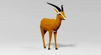 Gazelle animal