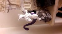 Mewtwo stl for 3d printing | 3D
