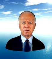 Joe Biden 3D Model Face