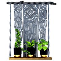 Indoor Plants in rusty Concrete Pot with Macrame