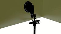 microphone