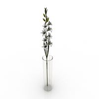 Vase 3D Model